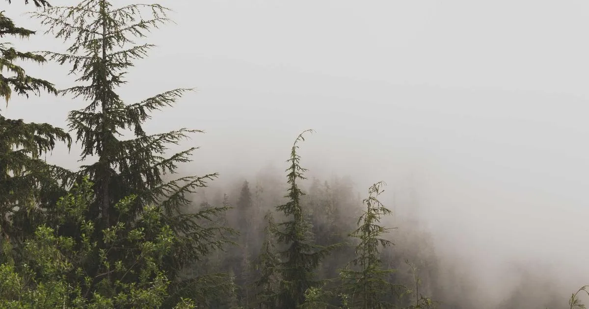 Featured image of post 25年8月固始的一餐